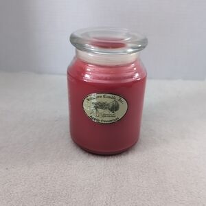 Southern Candle Inc. Apple cinnamon